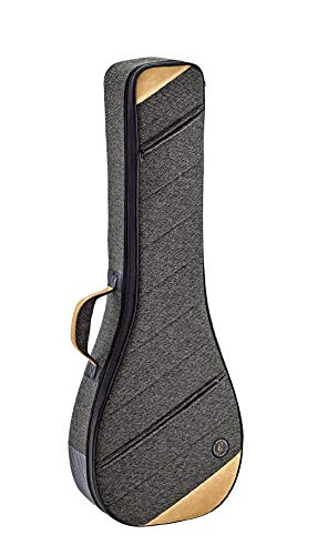 Ortega Guitars Banjo Case-22 mm Soft Padding w/Hardened Frame, Mocha, (OSOCABJ-MO)