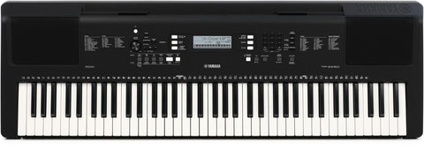 PSREW310 w/PA130 Power adapter