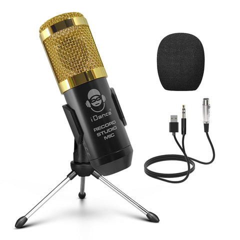 All you need for Professional Broadcasting and Recording in a microphone