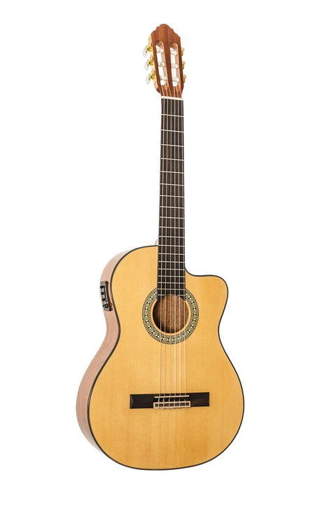 PEAVEY Classical Nylon String Guitar wit
