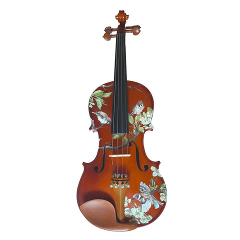 Rozannas Bird Song Violin Outfit 1/2