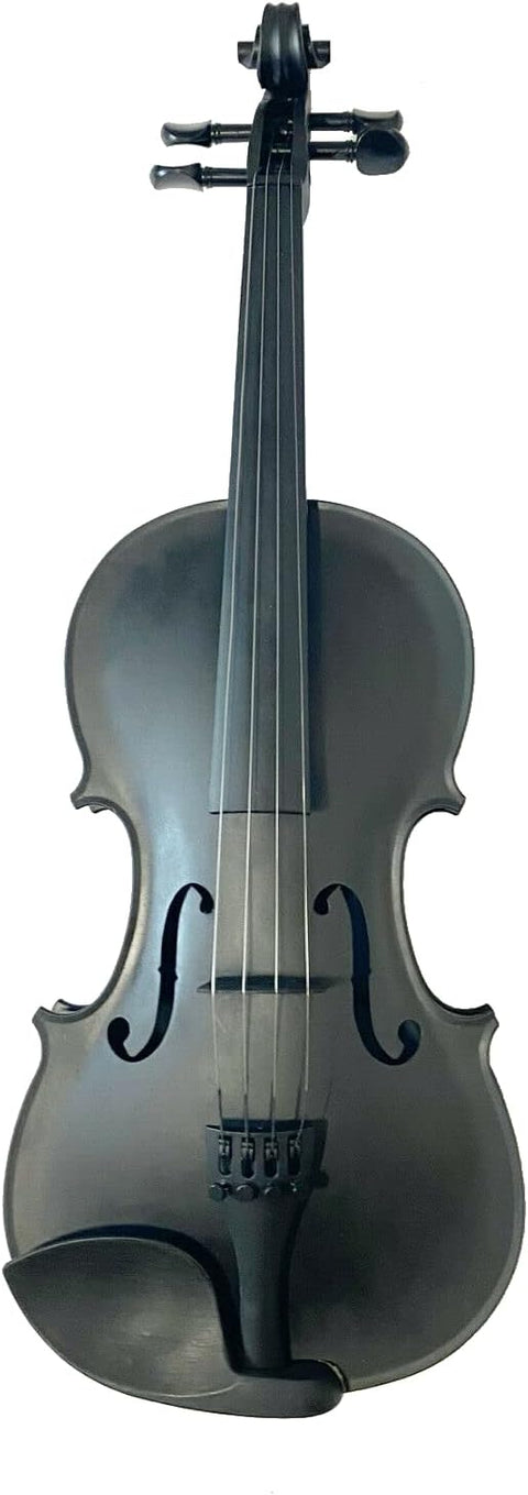 ROZANNAS CARBON COMPOSITE VIOLIN OUTFIT 4/4